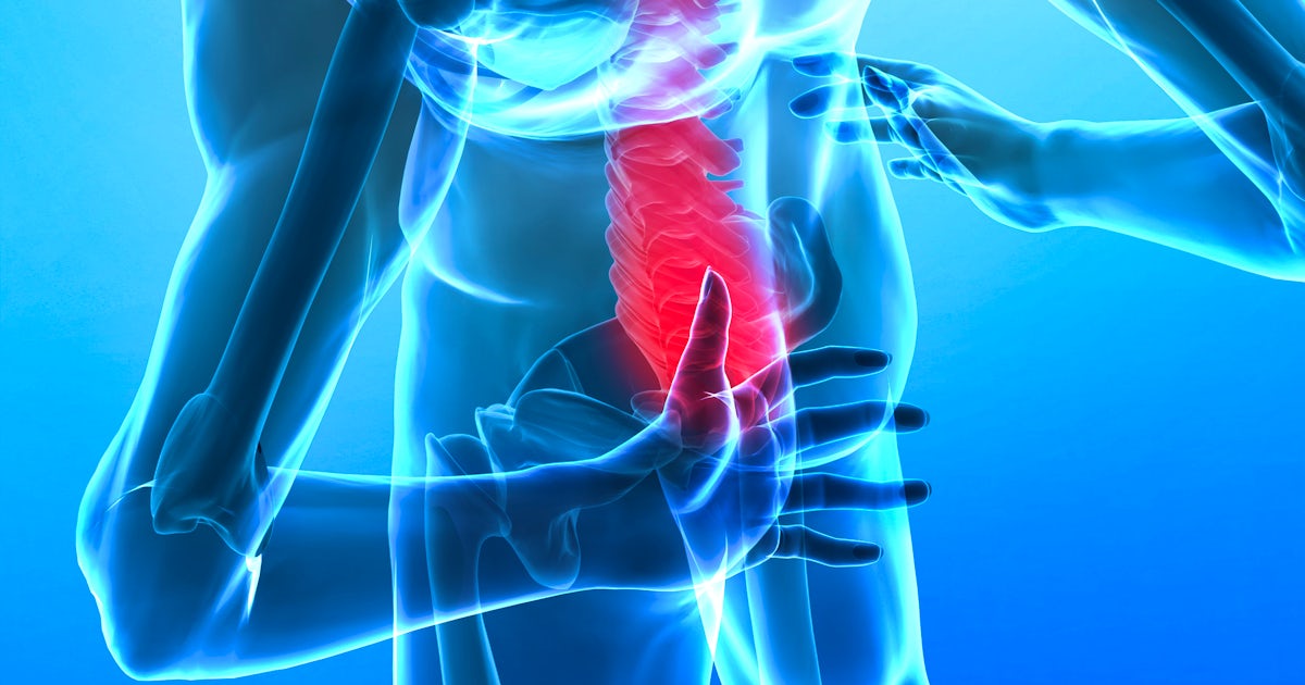 illustration of human skeleton with lower vertebrae highlighted