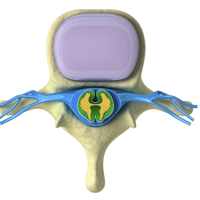 illustration of a vertebra with cross section of spinal cord