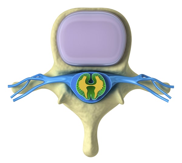 illustration of a vertebra with cross section of spinal cord