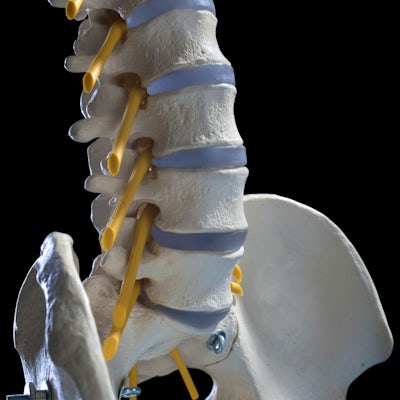 model spine