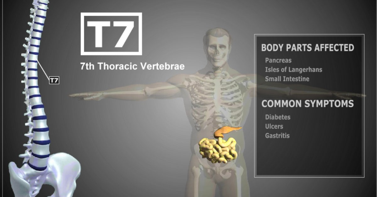 3D Spine Preview