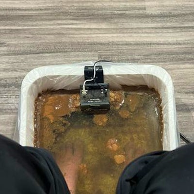 Foot Detox (IonCleanse) at Natural Family Chiropractic