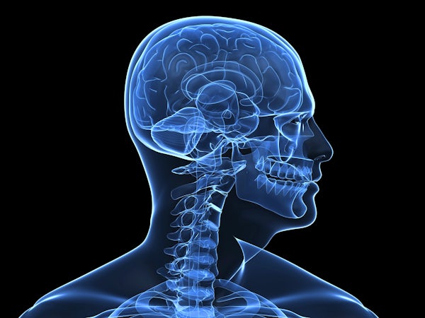 x-ray illustration of human anatomy - head and neck from side