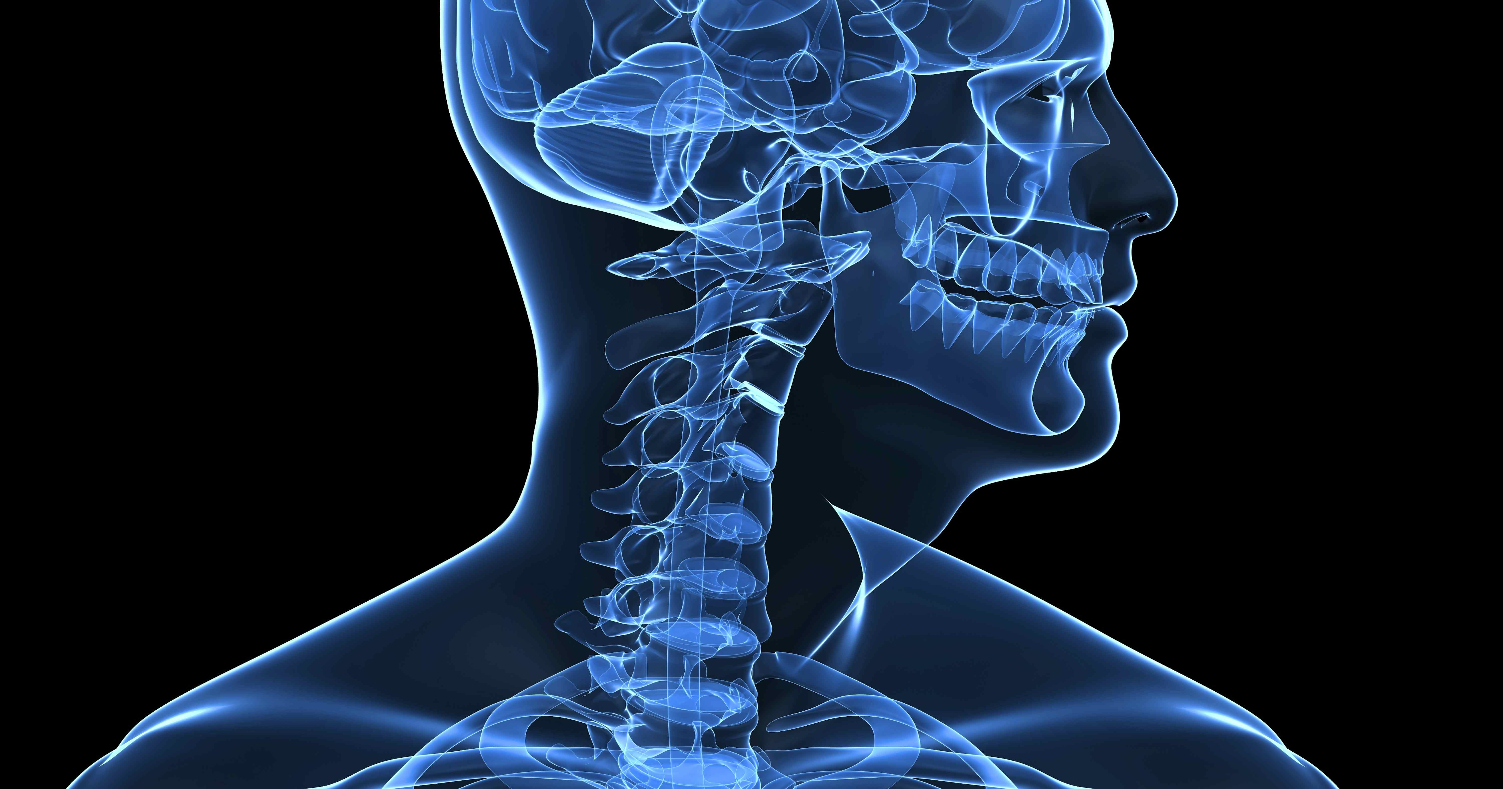 Difference Between Neurology and Neuropathy, Aloha, OR