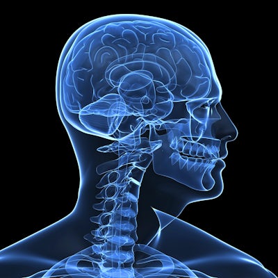 Illustration that looks like an X-ray of the human brain, skull, and neck.
