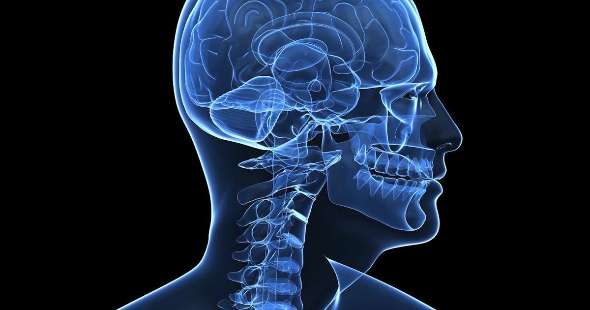 Illustration that looks like an X-ray of the human brain, skull, and neck.