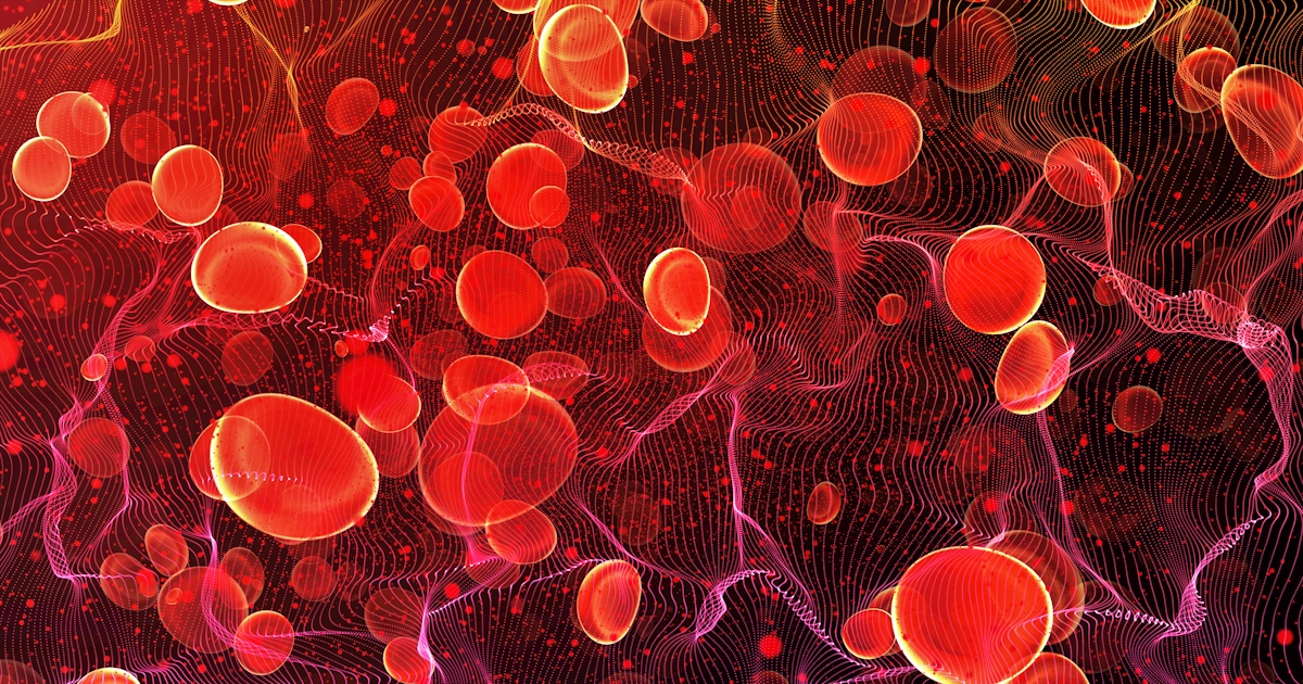 Red blood cells in travel an artery