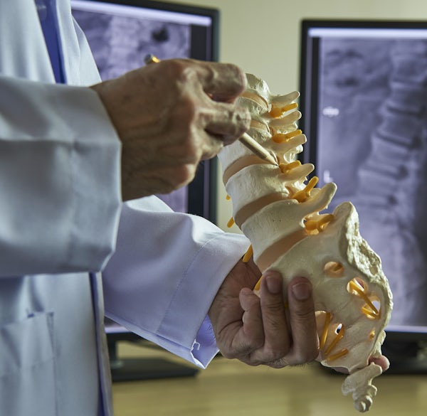 A chiropractor pointing at lumbar vertebra model