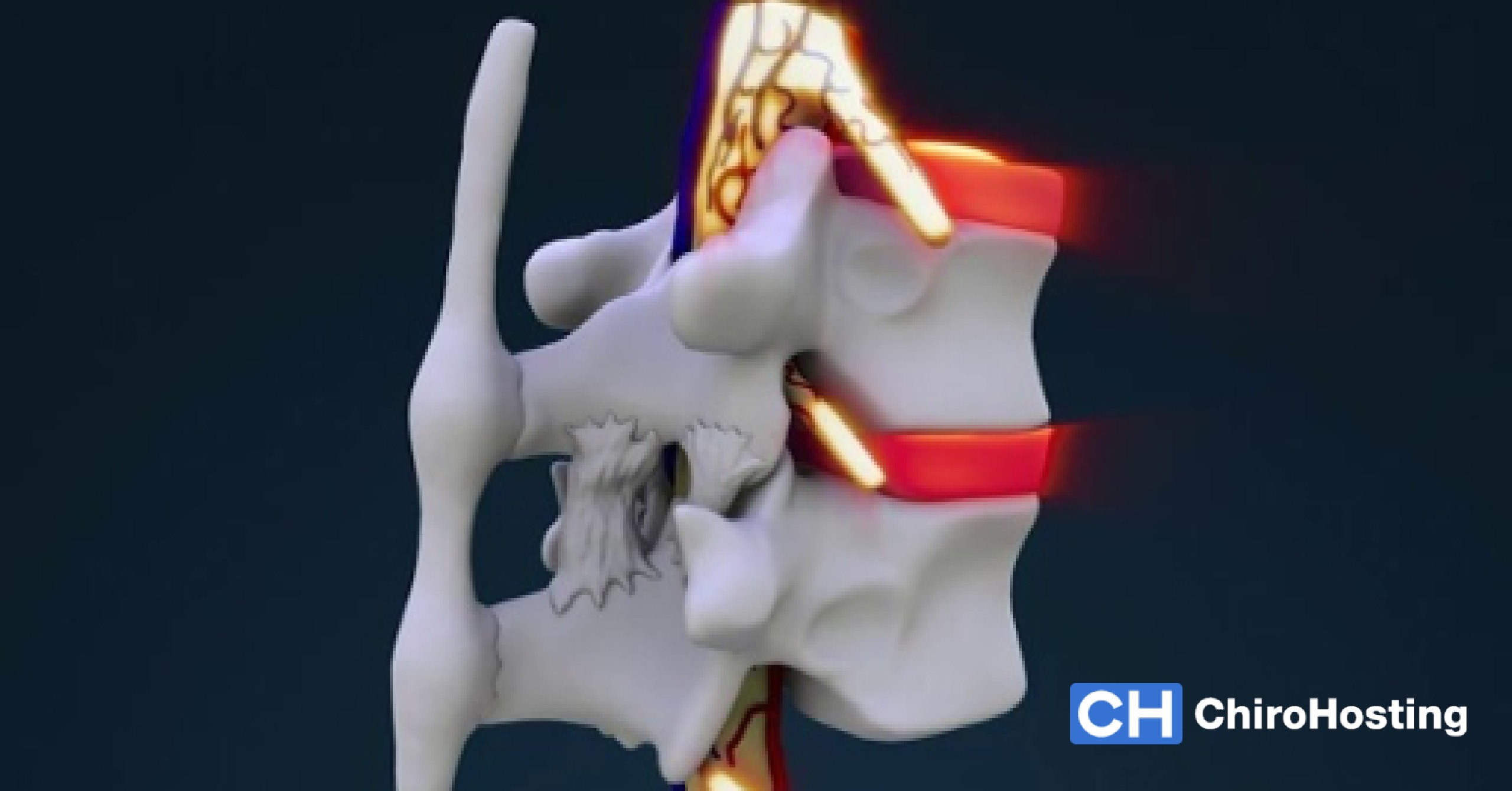 CN Video - How Chiropractic Works - 10.13.17