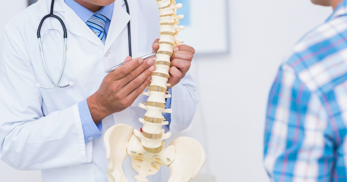 Doctor showing anatomical spine to his patient