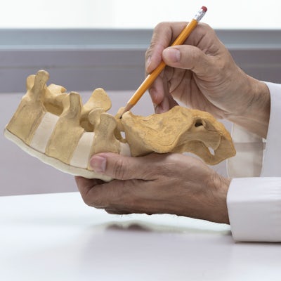 The image shows a person holding a model of a spine, using a pencil to annotate or point out details on it.