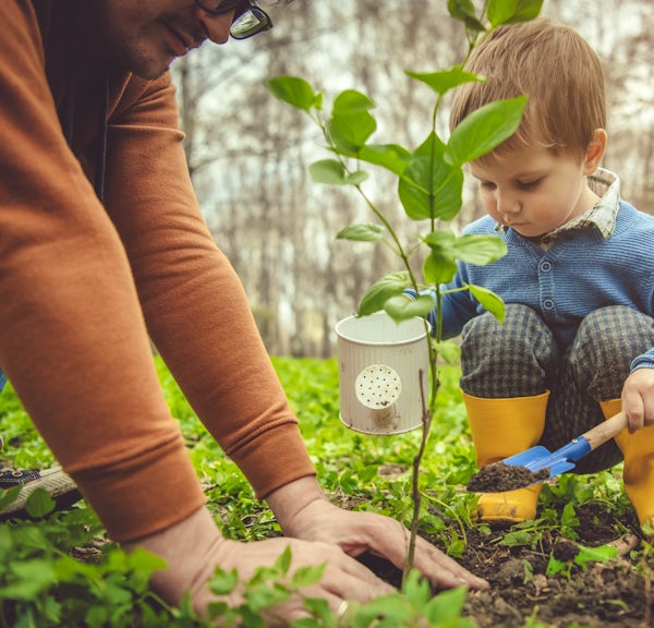 Family planting tree on Arbor day in springtime