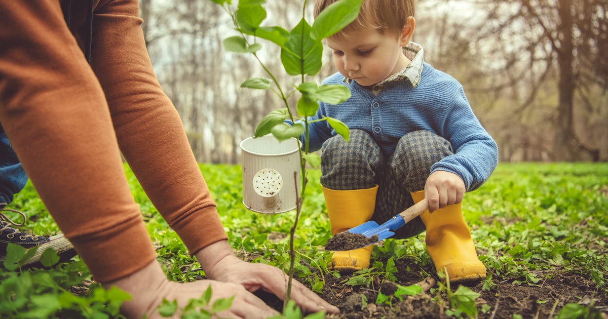 Family planting tree on Arbor day in springtime
