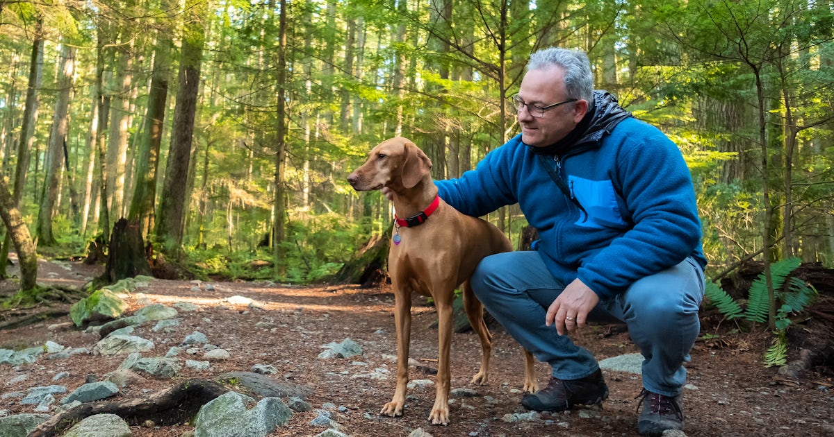 Mature Hiking Man Holding Vizsla Dog in Sunlit For