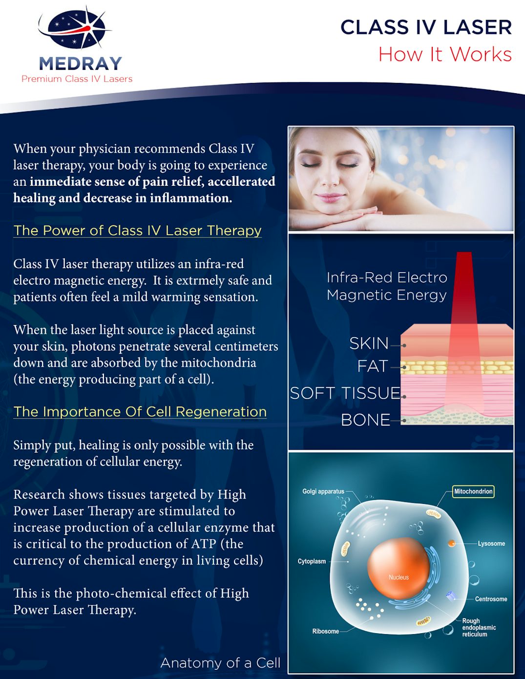 laser therapy brochure