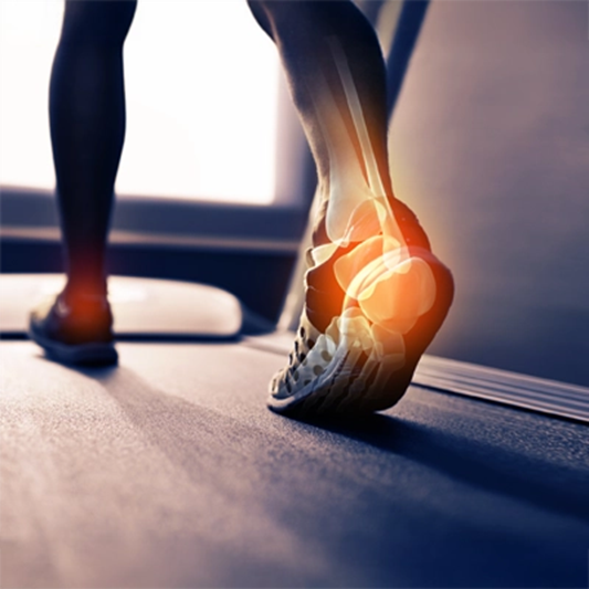 Injury and Tissue Healing