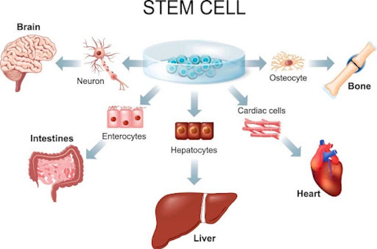 Method of Regenerative Tissues in Stem Cell Therapy, Salem, OR