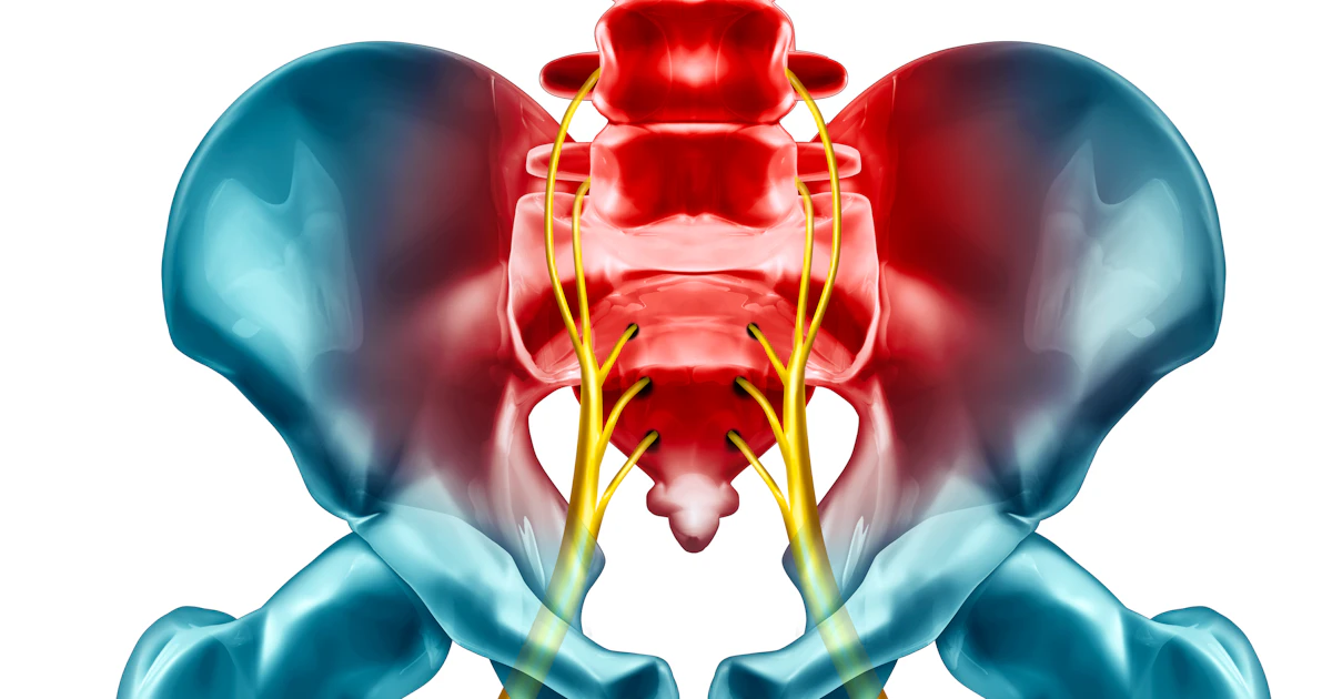 Chiropractic Therapy Treats Lower Back Issues and the Sacroiliac Joint ...
