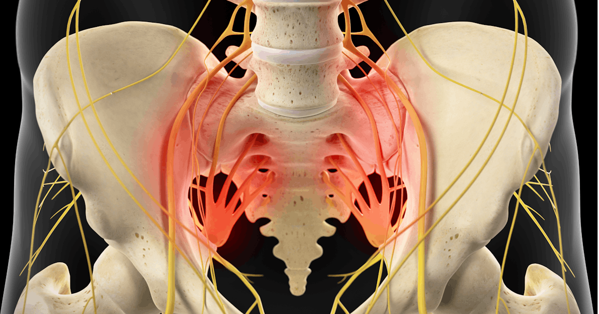 The image depicts a detailed view of the human skeletal and nervous system, highlighting the spine and pelvic area with highlighted nerves.
