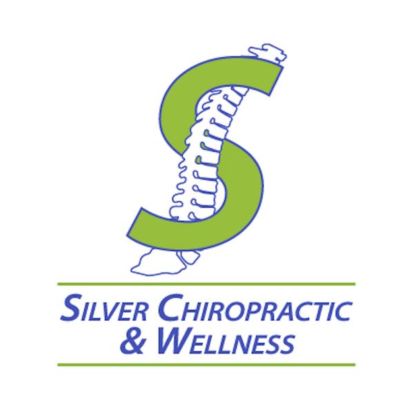 Chiropractor serving Jacksonville, FL - Silver Chiropractic and Wellness Logo