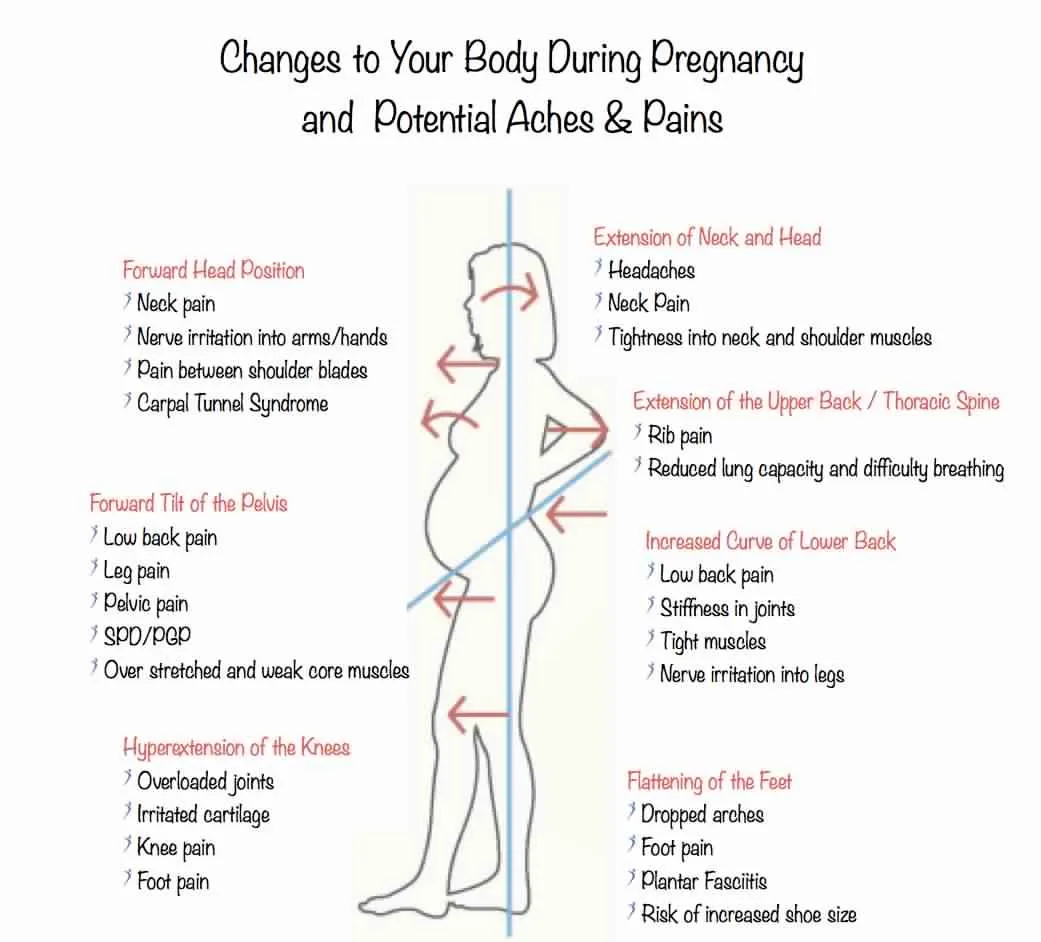 Chiropractic pregnancy guide
