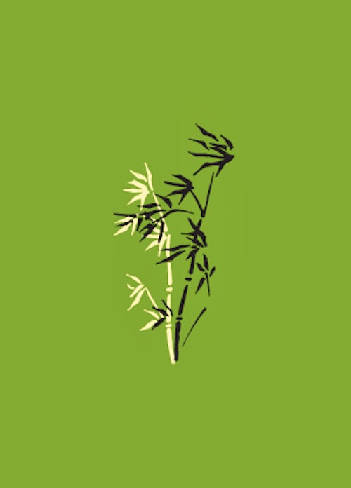 bamboo