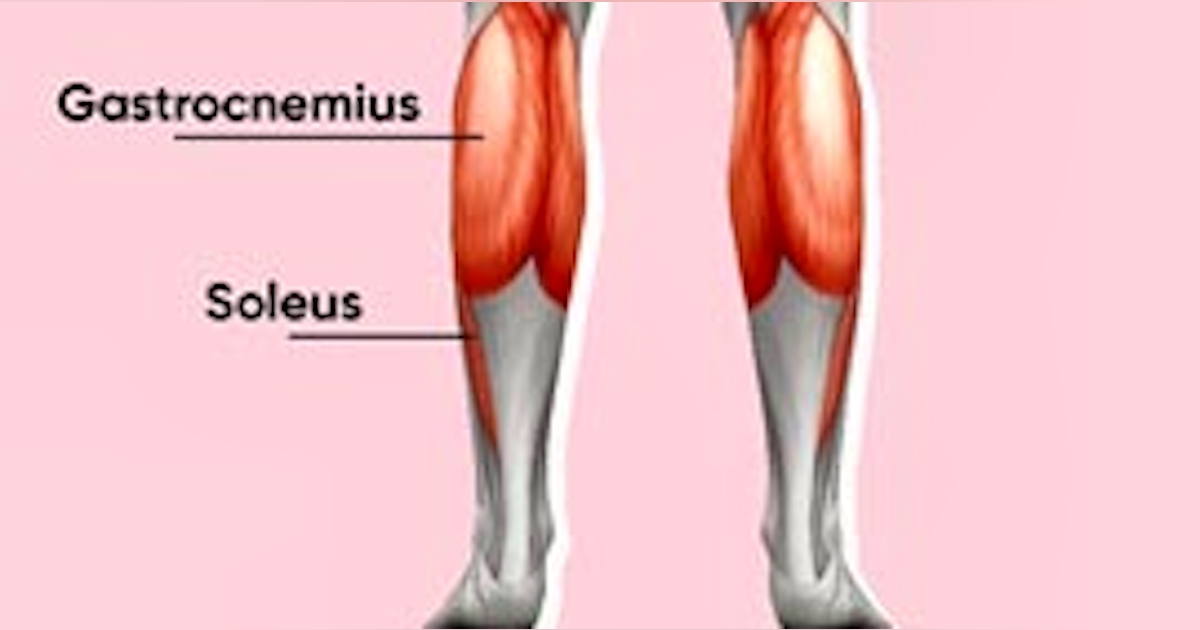 calves