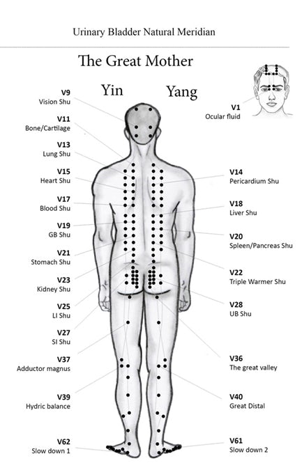 acupuncture chart