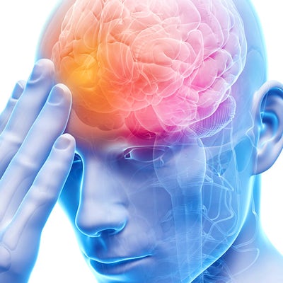 brain