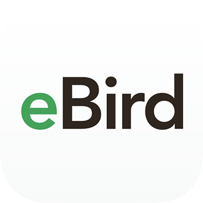 eBird-link