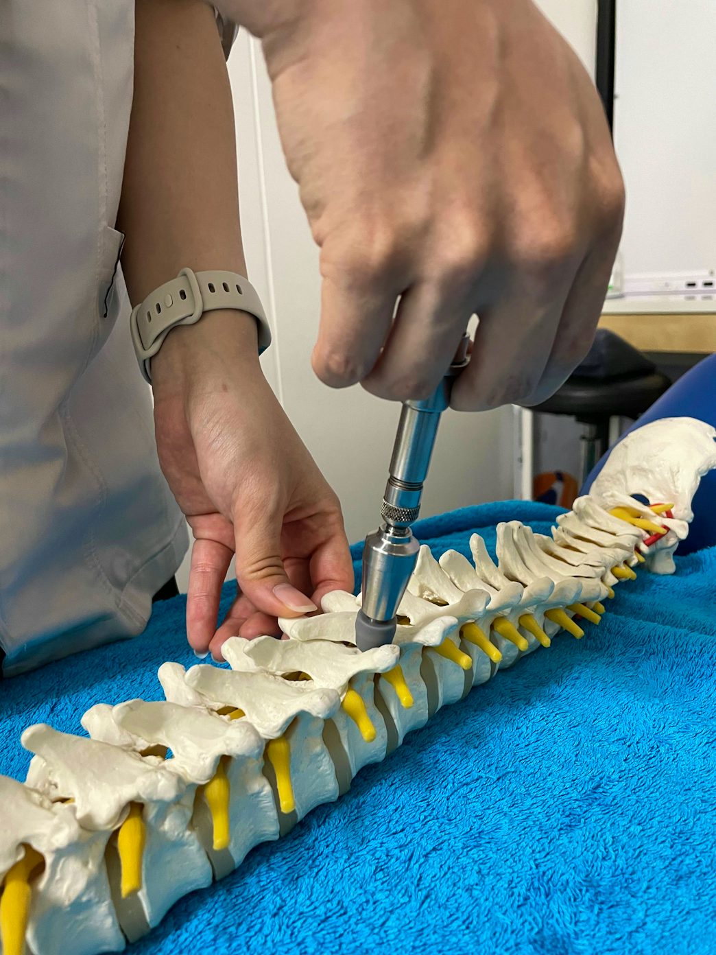 chiropractic tool on spine model