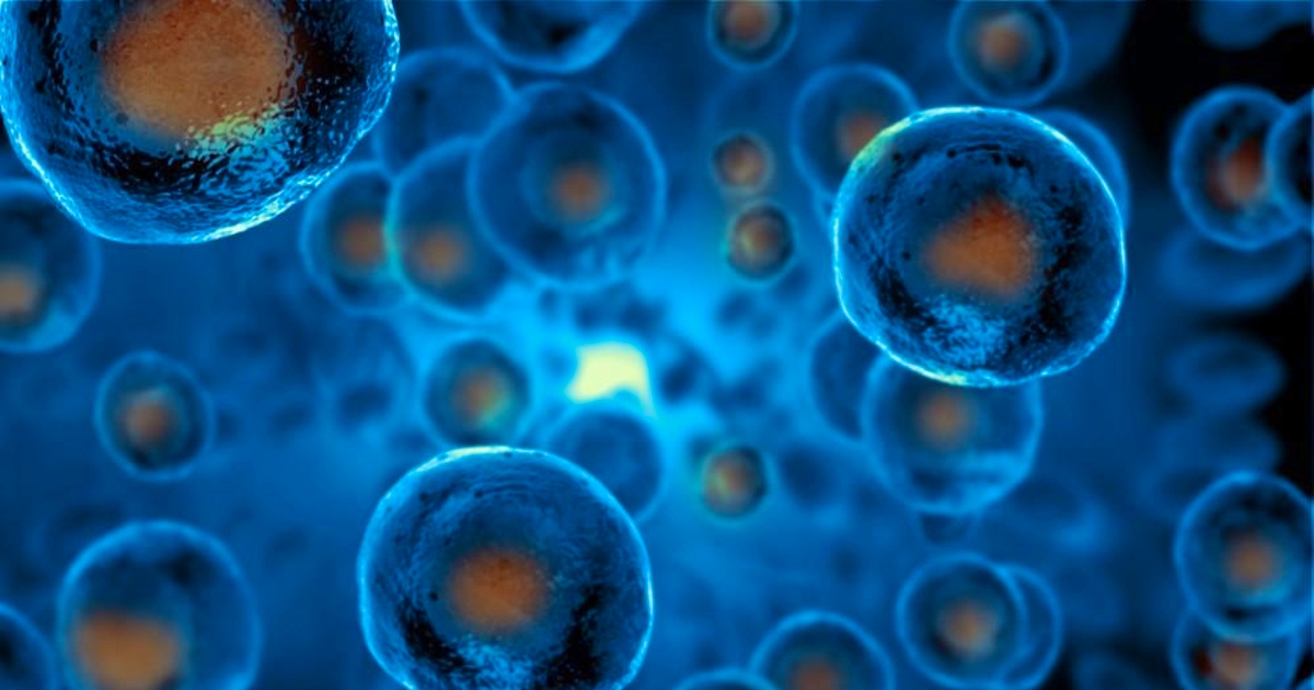 cell