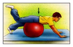 Lie on your stomach over ball