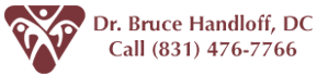 Dr. Bruce Handloff, D.C. Logo