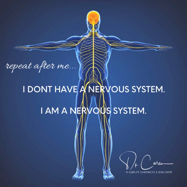  nervous system
