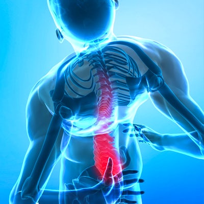spine vector art