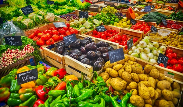 Nutrition for spinal health