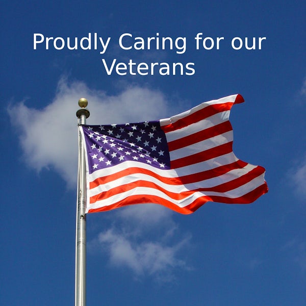 veterans usa flag