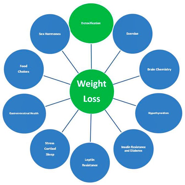 weight loss web